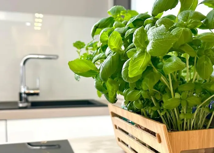 Jana Kazimierza 47 - 2 Rooms, 70m2, Balkon, Parking, Szybkie Wi-fi ワルシャワ